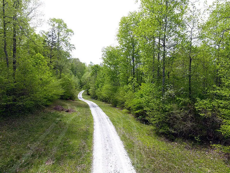 Tract 13 Dogwood Drive, Whitley City, KY 42653 - Image #2