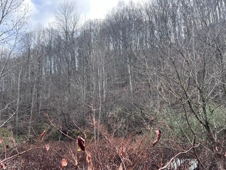 000 S Highway 421, Manchester, KY 40962 - Image #3