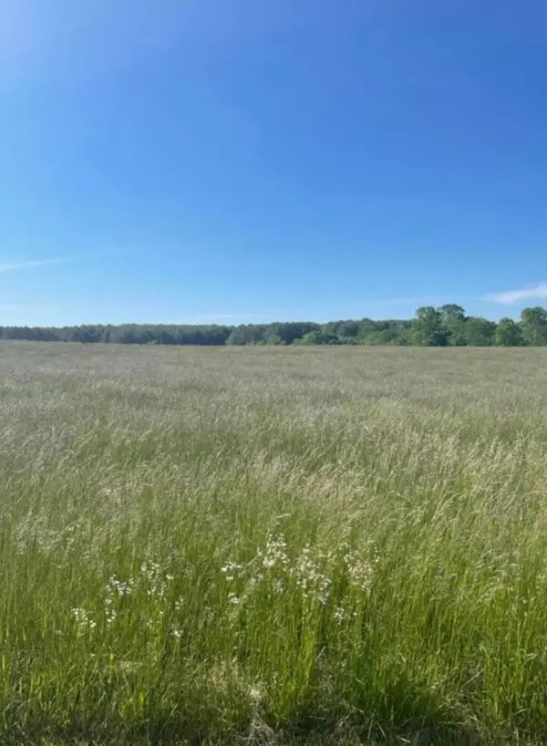 Lot 37 Edgewater Drive, Russell Springs, KY 42642