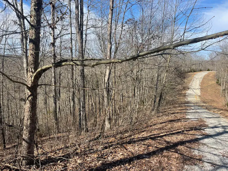 Lot 22 Cumberland Shores, Monticello, KY 42633 - Image #3