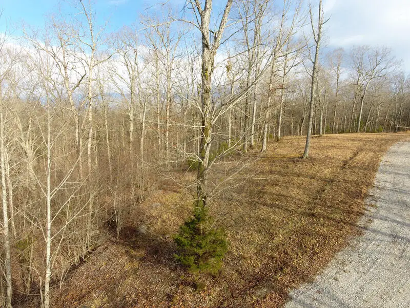 Lot 89 Cumberland Shores, Monticello, KY 42633 - Image #3