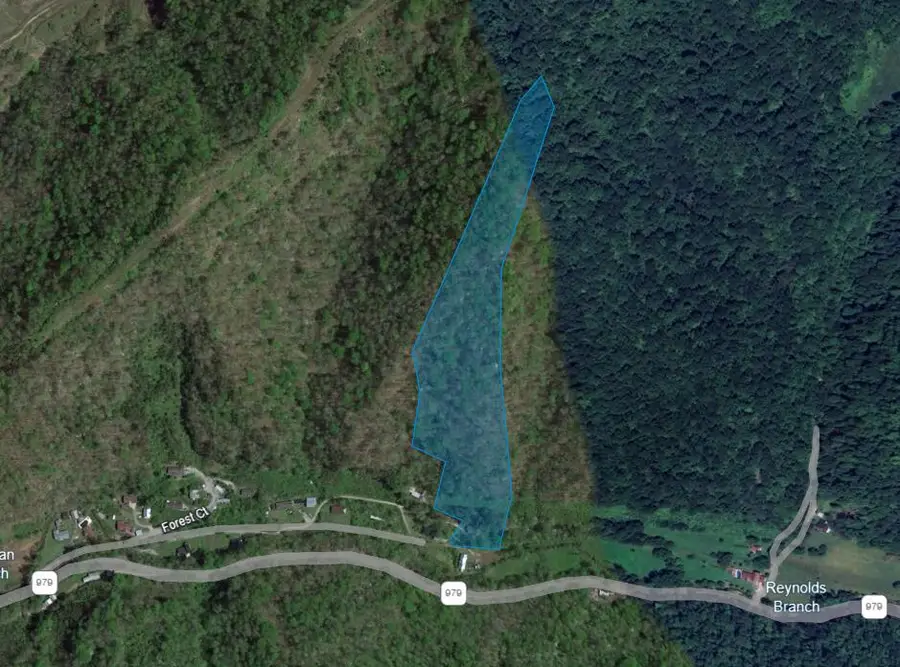 389 Newman Branch, Hi Hat, KY 41636 - Image #3