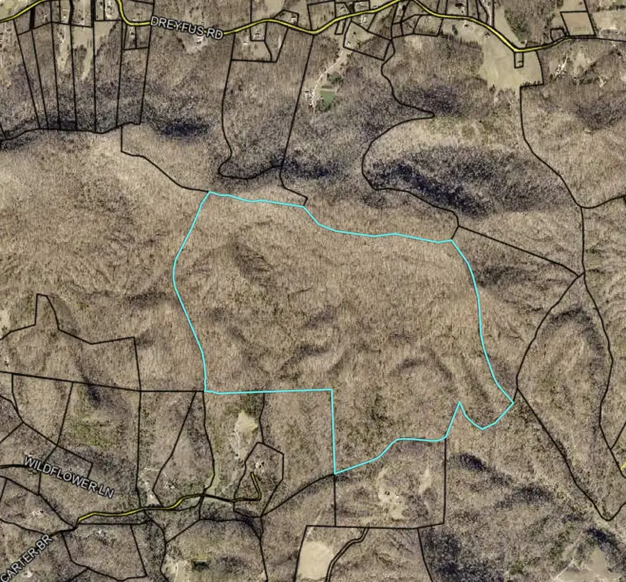 9999 Dreyfus Road, Waco, KY 40385 - Image #3