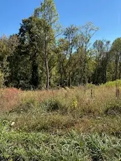 1027 Morris Drive, Richmond, KY 40475 - Image #2