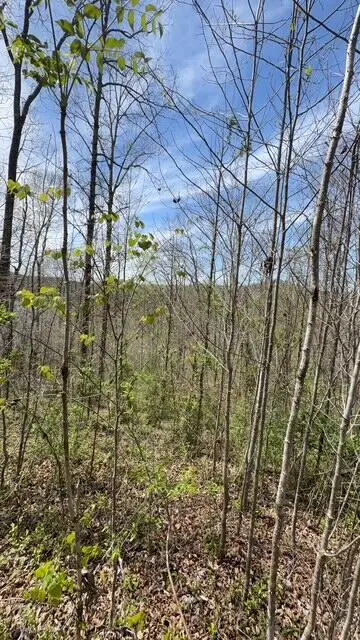 Indian Creek Road, Burnside, KY 42519 - #2