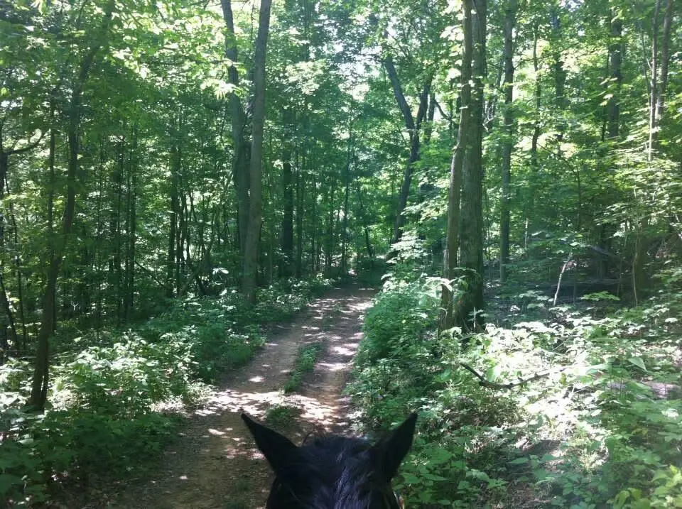 9999 Hales Fork Road, Dewitt, KY 40930 - Image #1