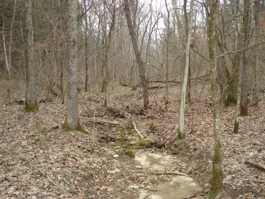 1551 Santa Fe Road, Brooksville, KY 41004 - #2