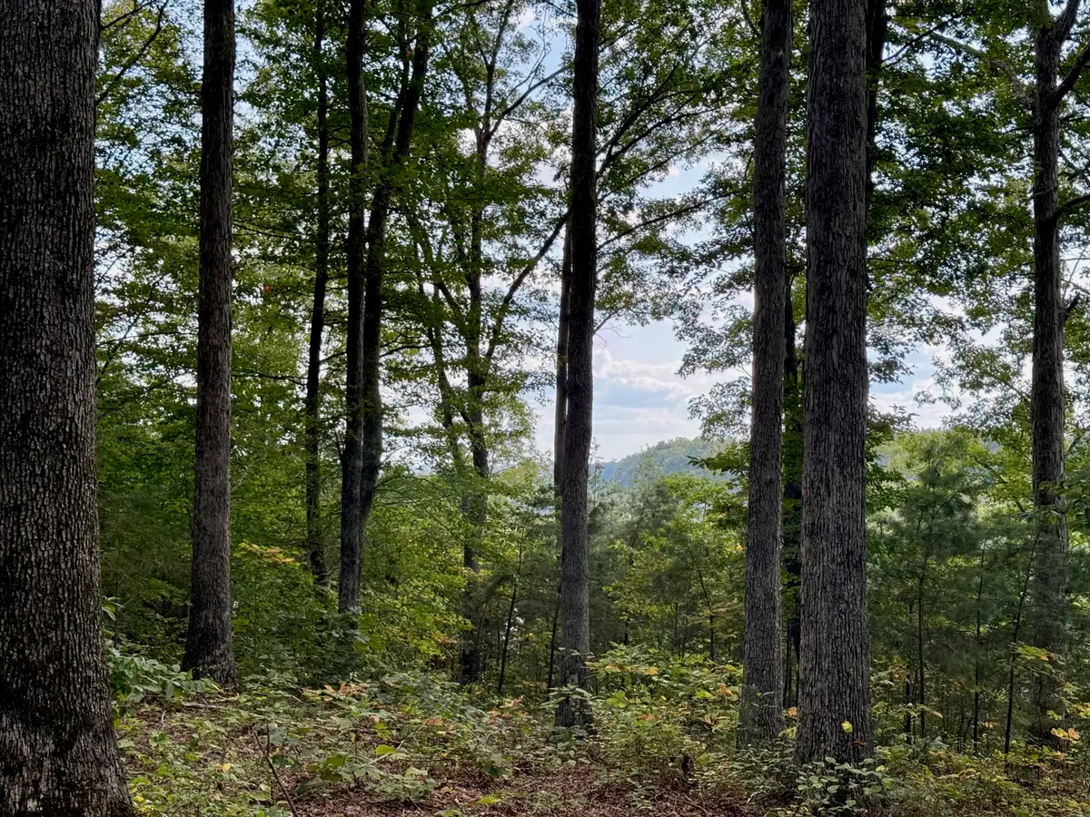 80 Paradise Alley, Russell Springs, KY 42642 - Image #1