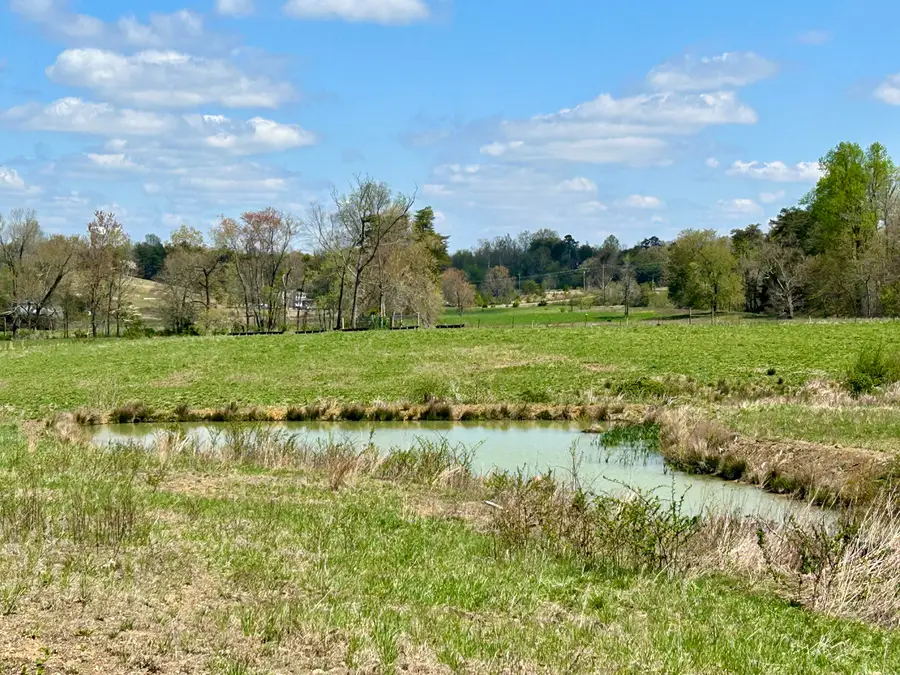 428 Dick Wilson Road, Strunk, KY 42649 - Image #3