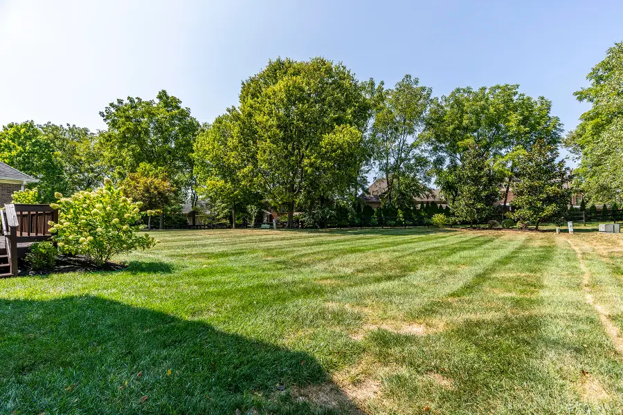 3005 Old Field Way, Lexington, KY 40513 - Image #3