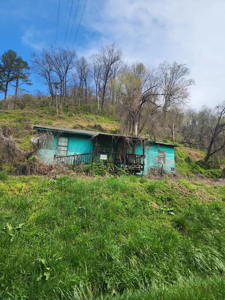 87 Springfield Drive, Wayland, KY 41666 - Image #2