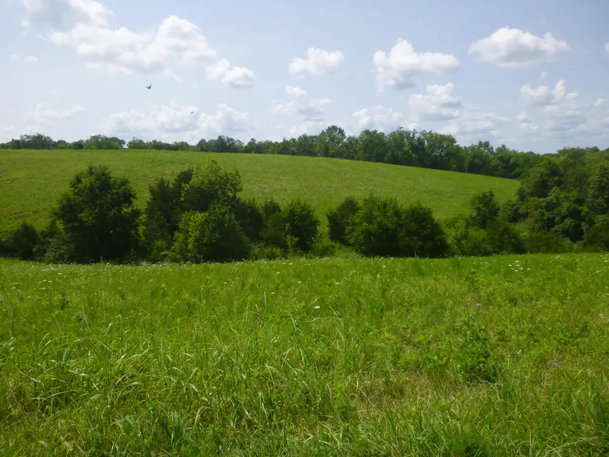 40.559 AC Colston Lane, Frankfort, KY 40601 - Image #1
