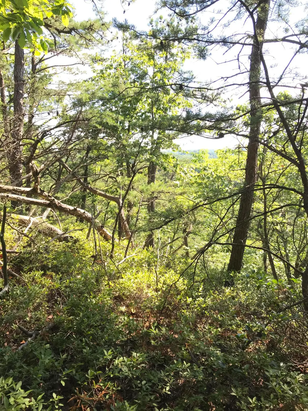 0 S South Fork Road, Stanton, KY 40380 - Image #1