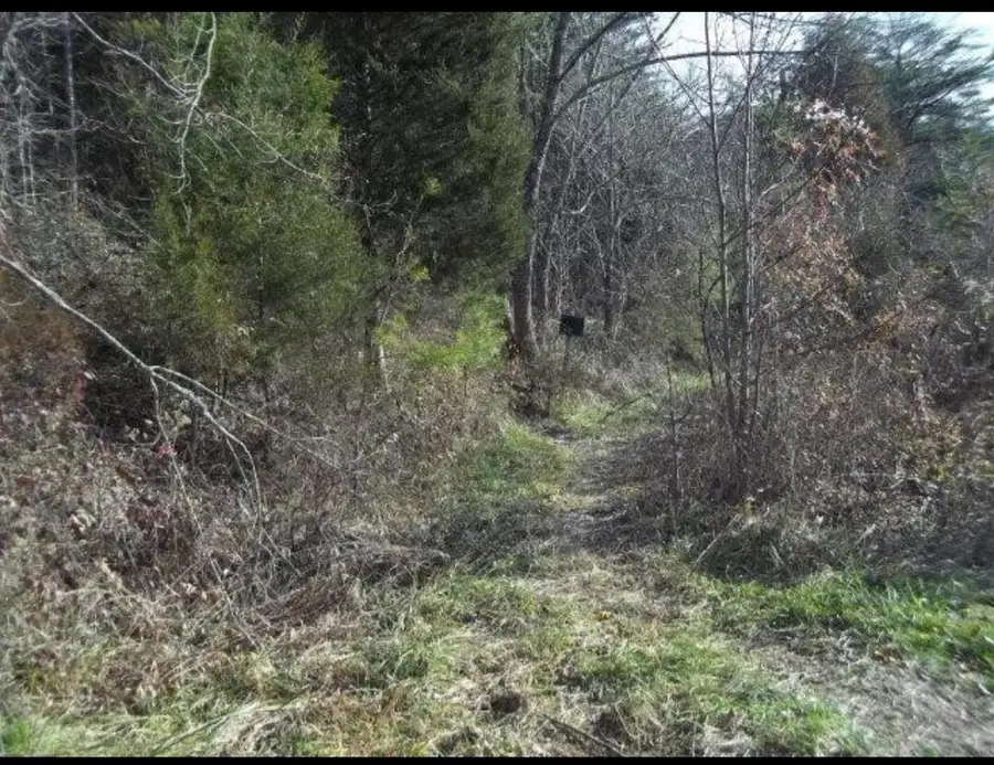 0 Morrill Kerby Knob Road, McKee, KY 40447 - Image #2