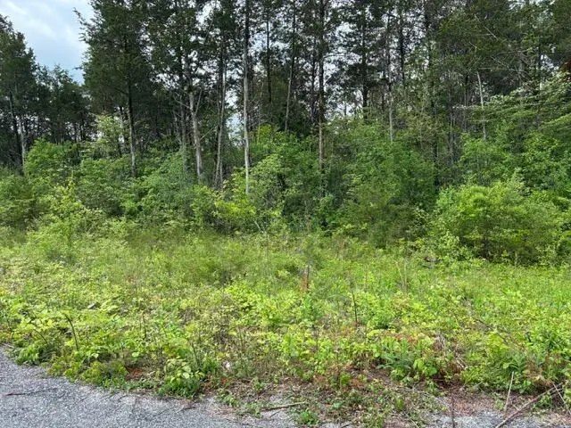 51 Mooreland Drive, Lawrenceburg, KY 40342 - Image #3