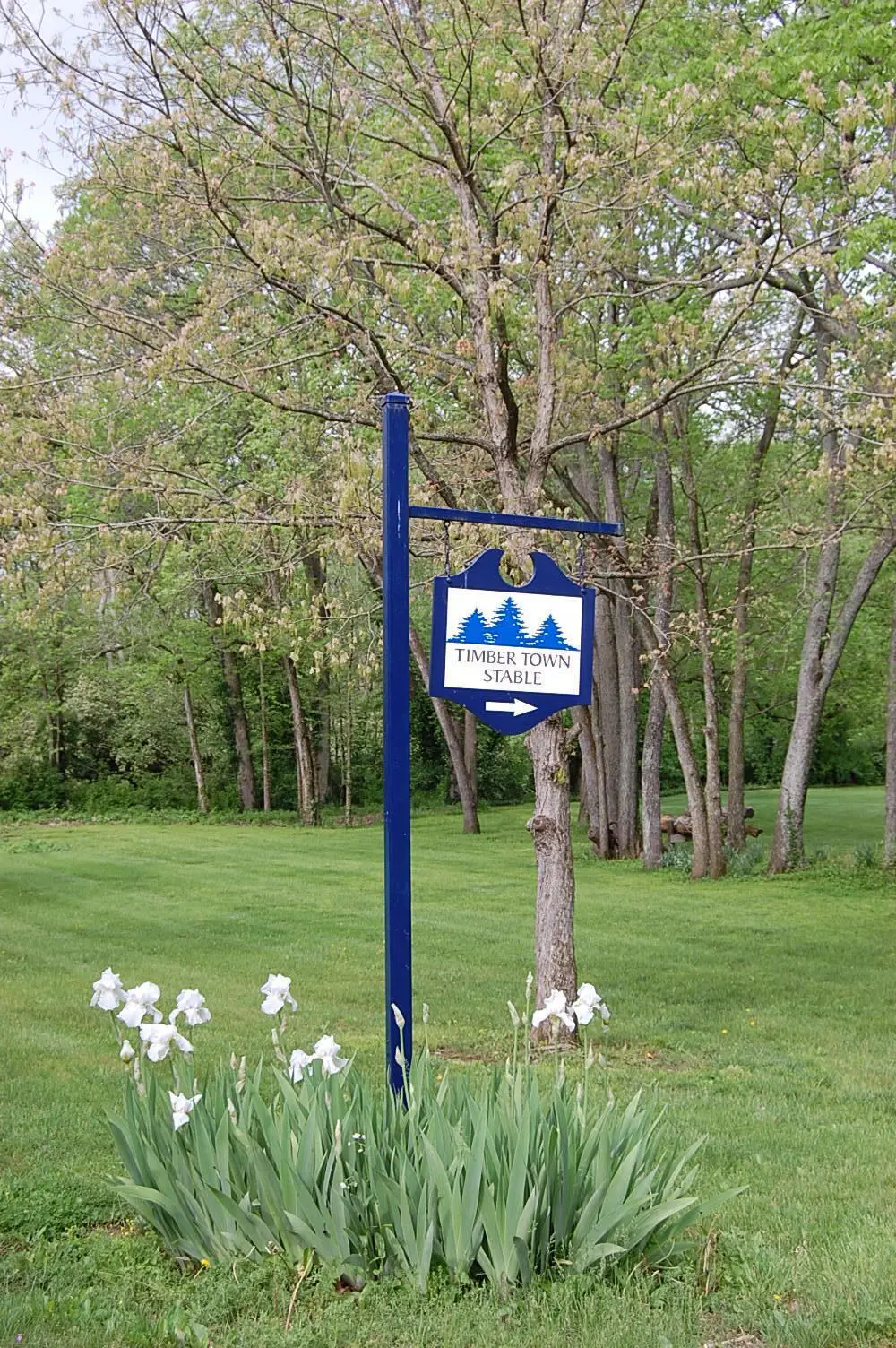 215 Bradley Lane, Lexington, KY 40511 - Image #1