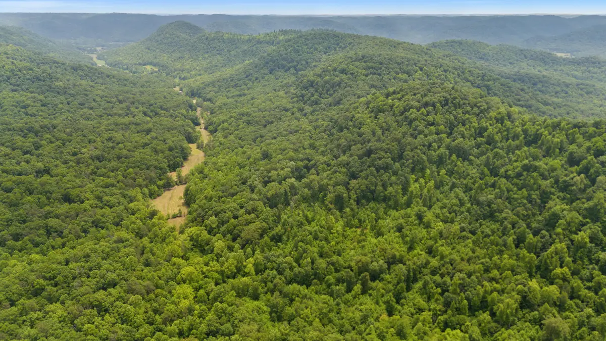 275 Horns River Road Road, Irvine, KY 40336 - Image #1