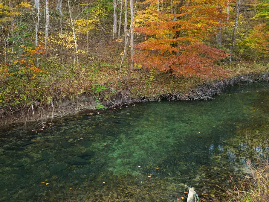 210 Singleton School Road, Eubank, KY 42567 - Image #2