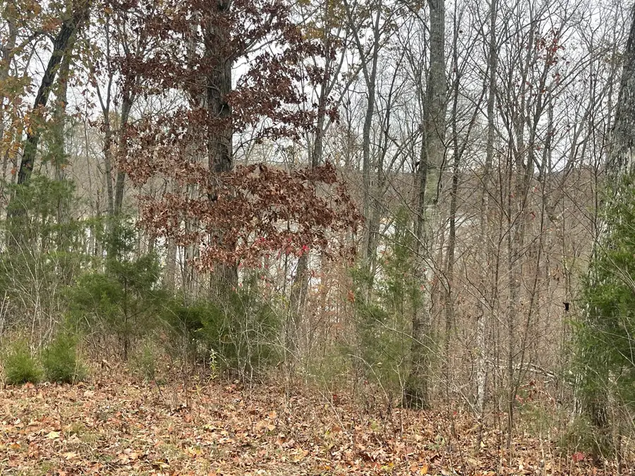 Lot 28 Cumberland Shores, Monticello, KY 42633 - Image #2