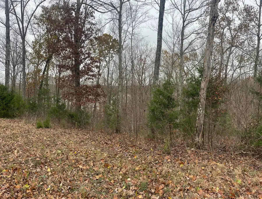 Lot 28 Cumberland Shores, Monticello, KY 42633 - Image #3