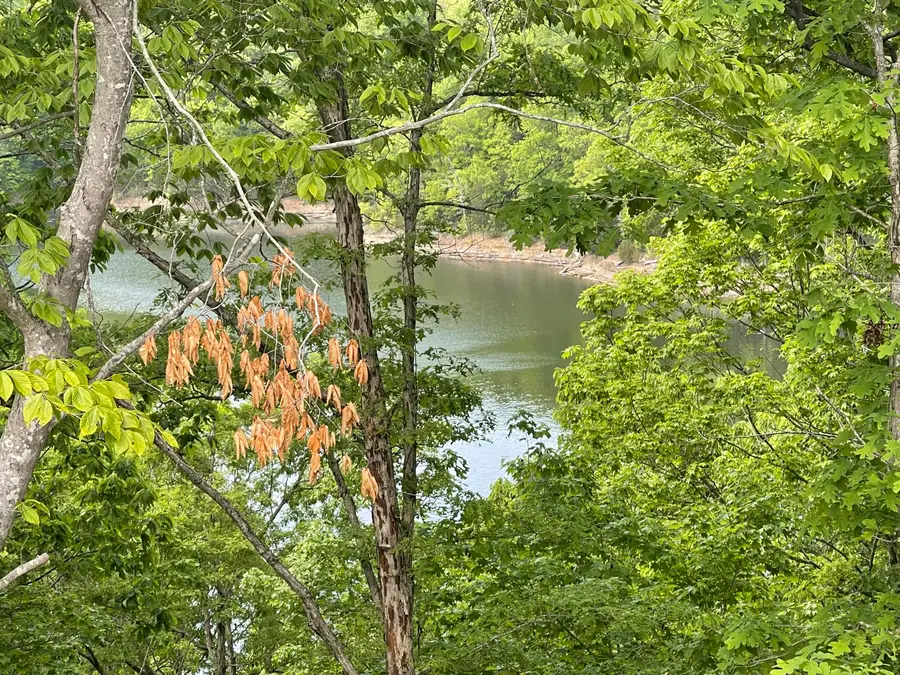 Lot 37 Cumberland Shores, Monticello, KY 42633 - Image #3