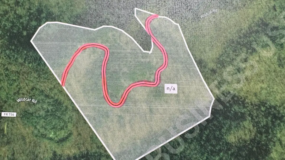 9999 Wildcat Trail Road, East Bernstadt, KY 40729 - Image #1