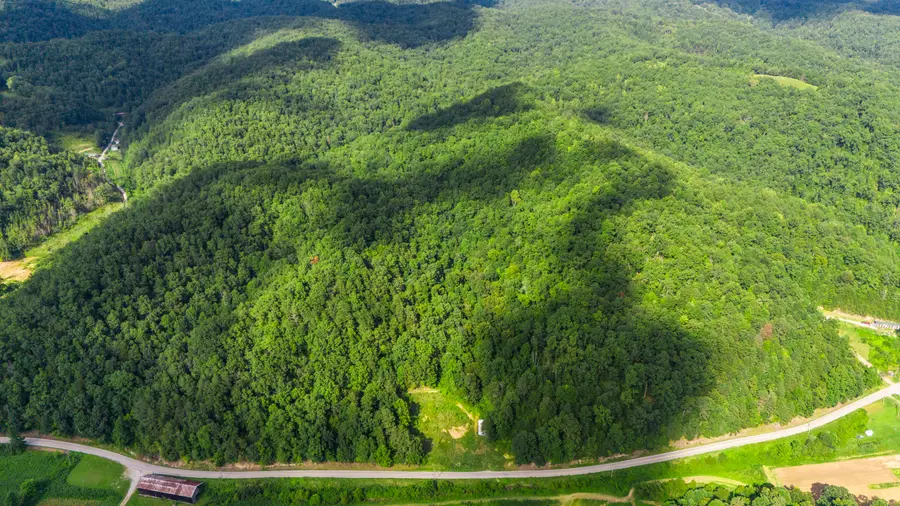 1687 Coffee Creek Way, West Liberty, KY 41472 - Image #3