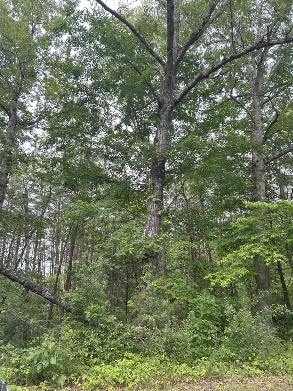 3C Loop Road, Williamsburg, KY 40769