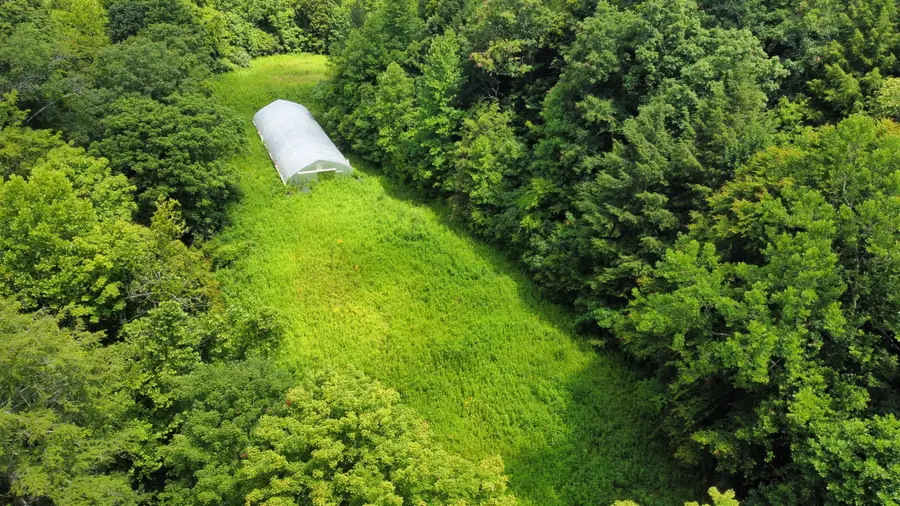 00 TBD Long Shoal Branch, Beattyville, KY 41311 - Image #2