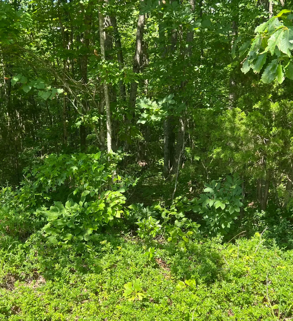 1111 Hwy 3285, Monticello, KY 42633 - Image #1