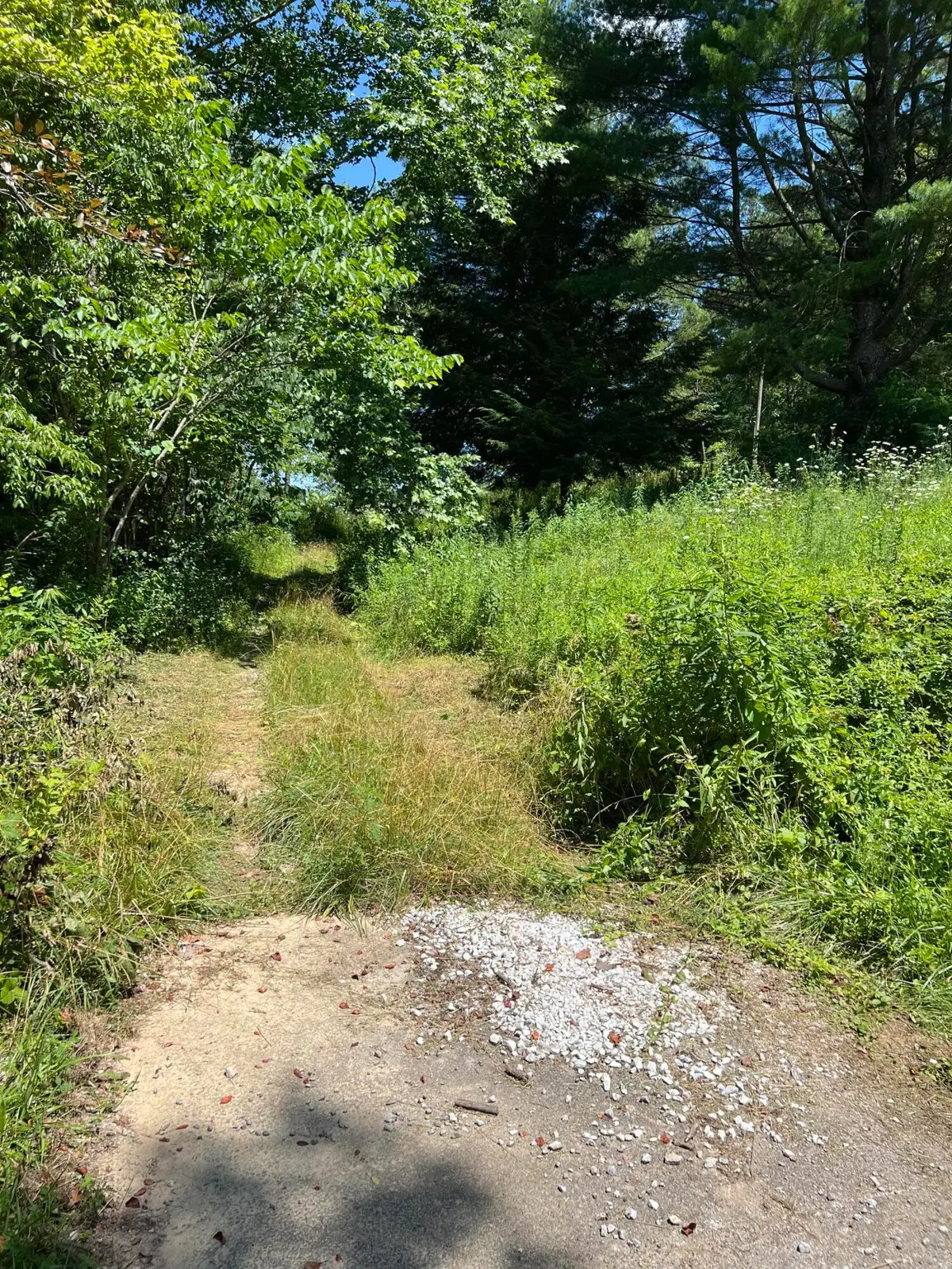 1111 N Hwy 421, McKee, KY 40447 - Image #1