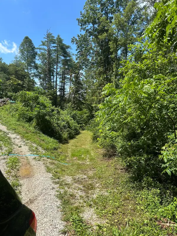 139 Dorsey Tolson Road, Campton, KY 41301