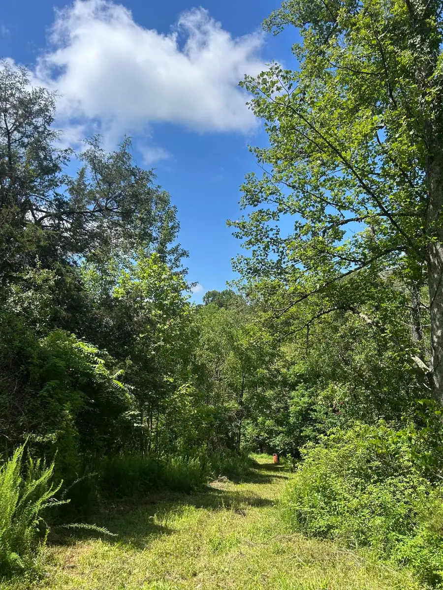 139 Dorsey Tolson Road, Campton, KY 41301 - Image #2