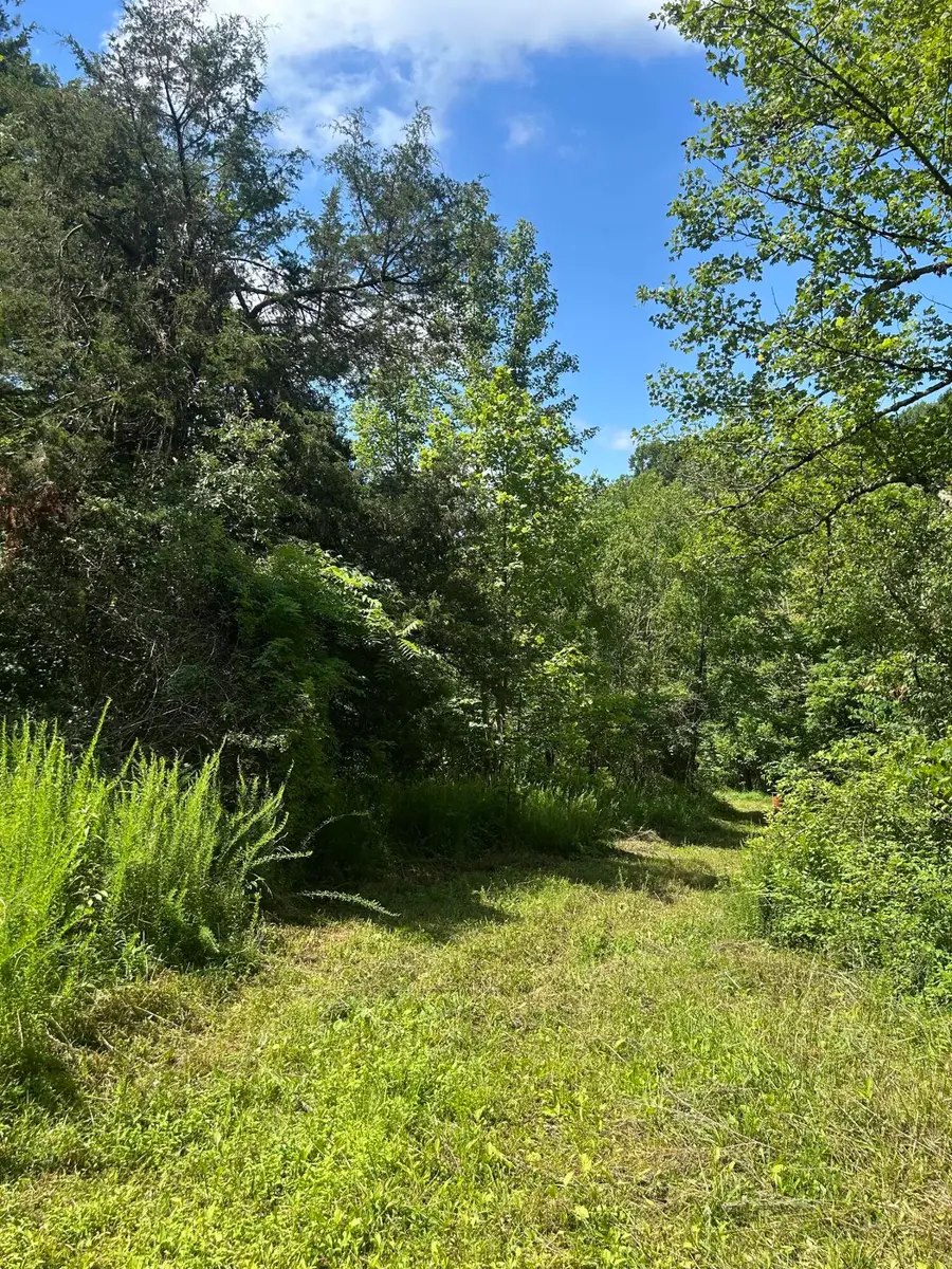 139 Dorsey Tolson Road, Campton, KY 41301 - Image #3