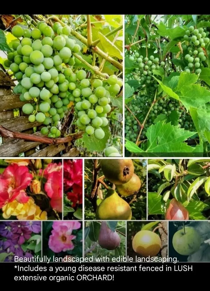 3108 Navajo Court, Lexington, KY 40509 - Image #2