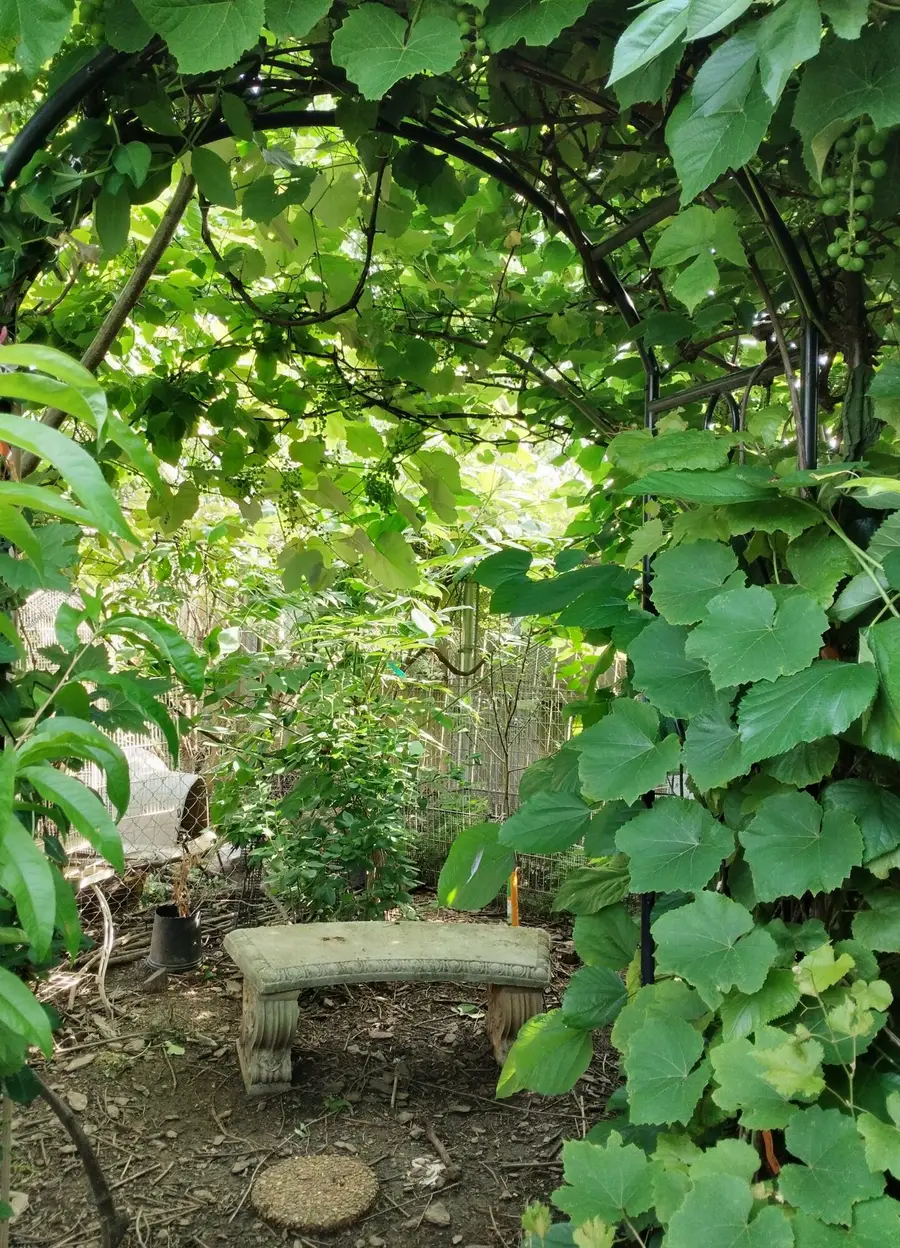 3108 Navajo Court, Lexington, KY 40509 - Image #3