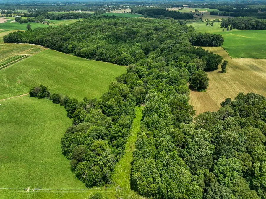 9999 Etna Road, Eubank, KY 42567 - Image #3