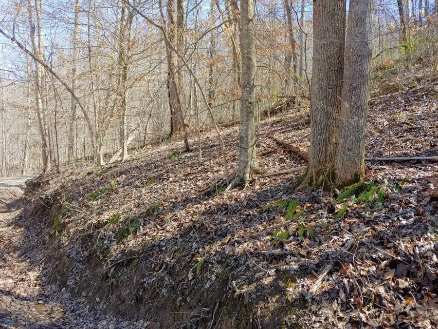 0 Birch Hollow Road #9 Phase 2, Stanton, KY 40380 - Image #2