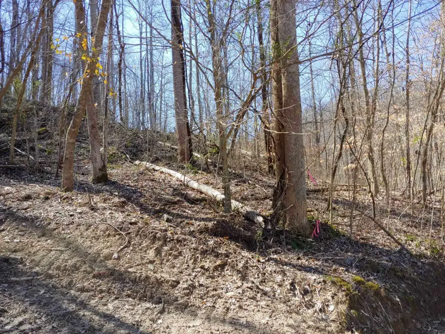0 Birch Hollow Road #9 Phase 2, Stanton, KY 40380 - Image #3