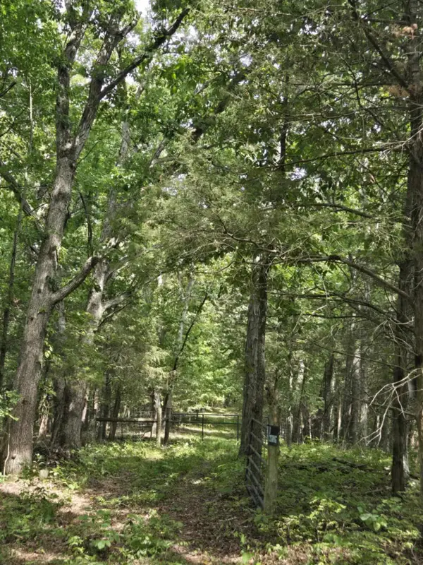 2607 Royalty Ridge Road, Willisburg, KY 40078