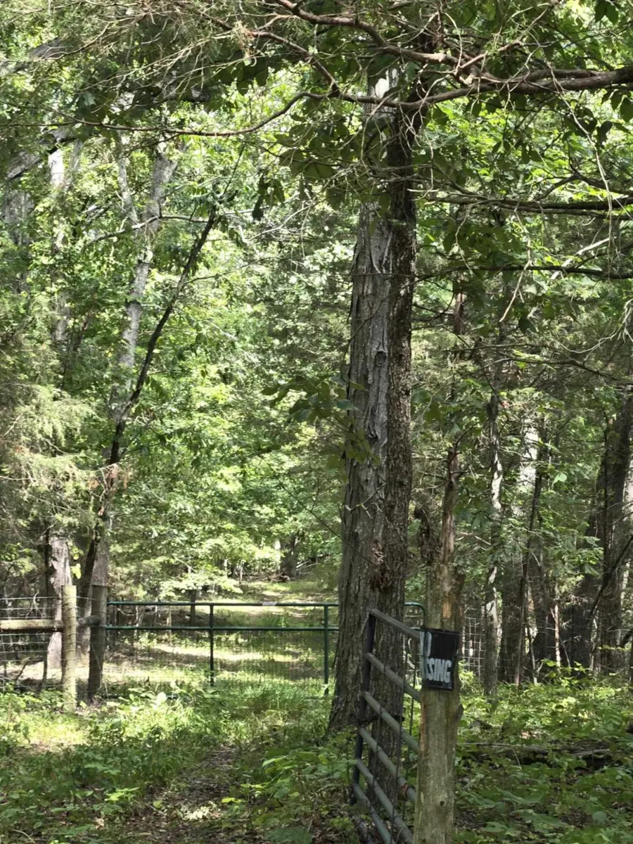 2607 Royalty Ridge Road, Willisburg, KY 40078 - Image #3