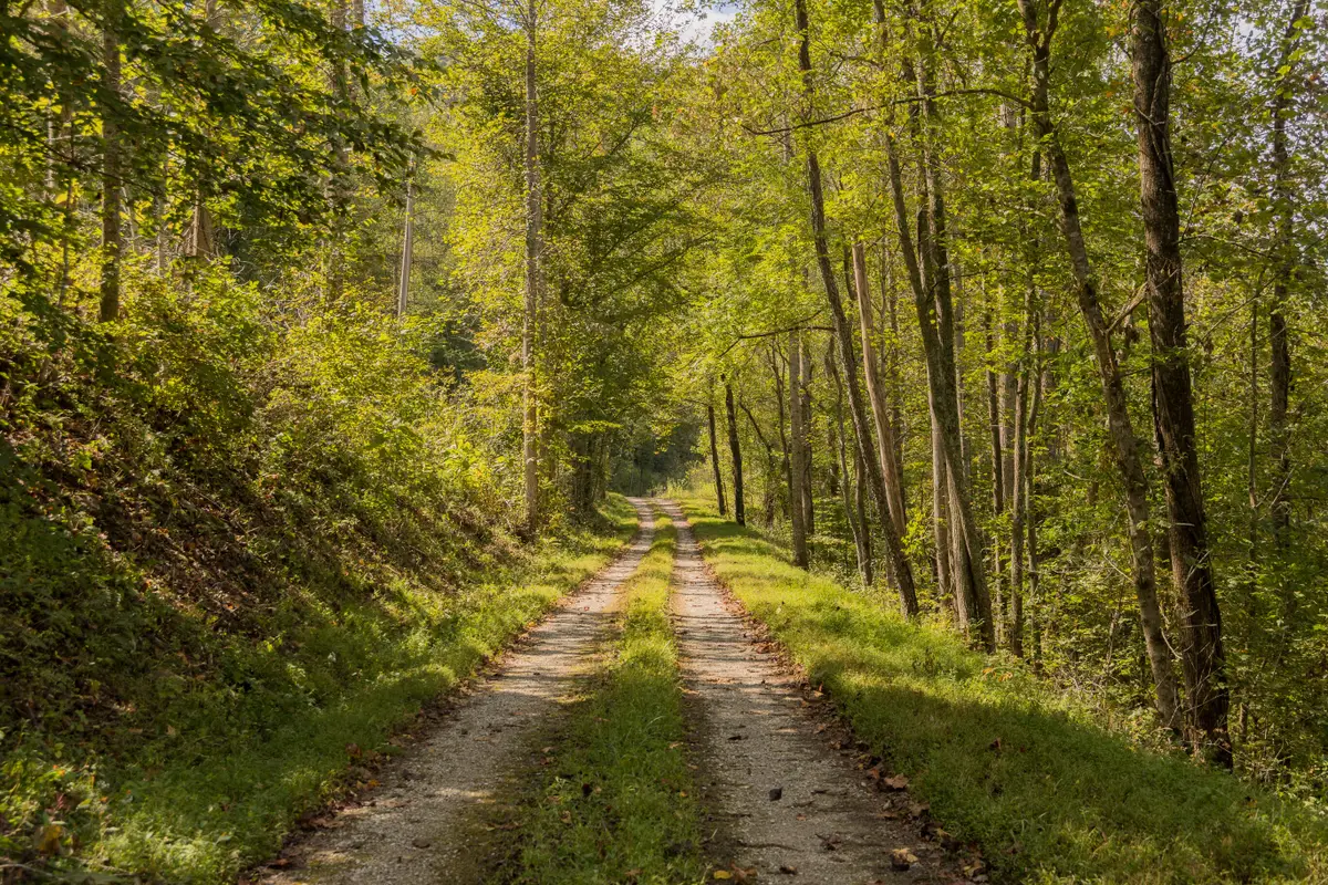 251 Everett Byrd Road, Booneville, KY 41314 - Image #1