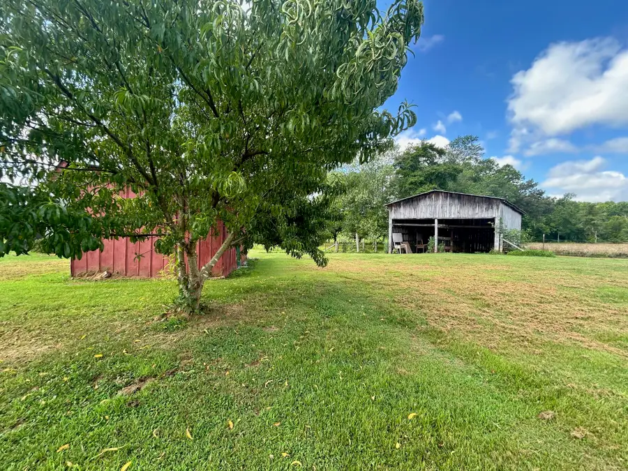 1835 Charles Elgin Road, Eubank, KY 42567 - Image #3