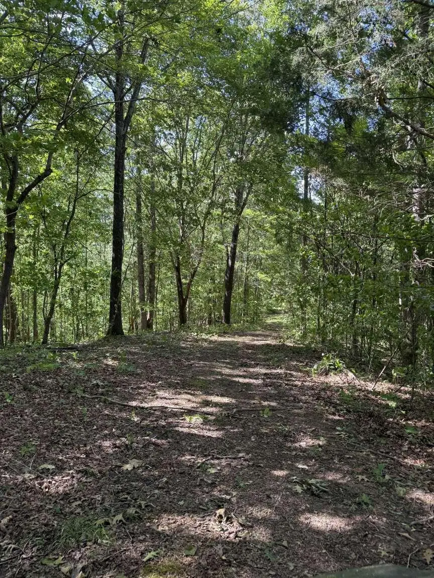 1111 Dudley Branham Road, Burkesville, KY 42717 - Image #3