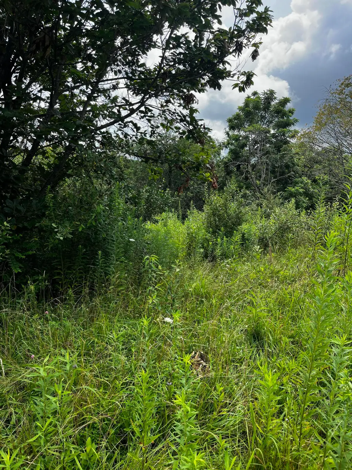 1998 Minor Road, West Liberty, KY 41472 - Image #1