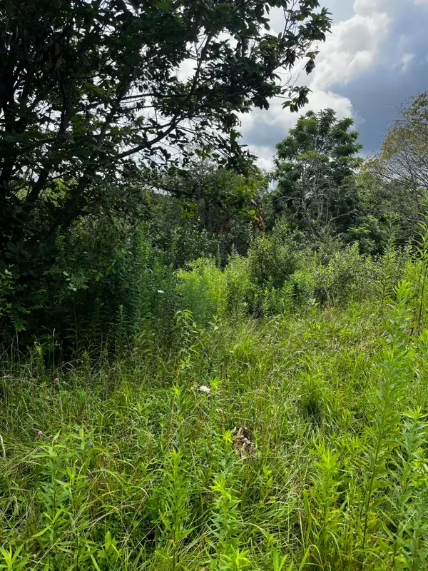 1998 Minor Road, West Liberty, KY 41472