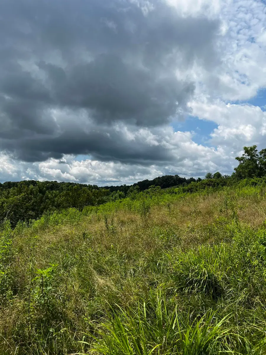 1998 Minor Road, West Liberty, KY 41472 - Image #3