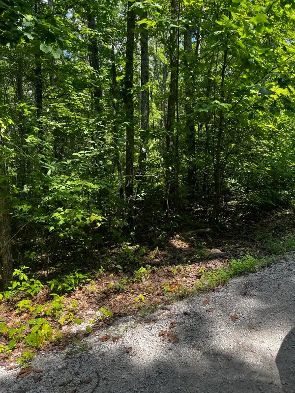 0 Ryan Road, Wellington, KY 40387