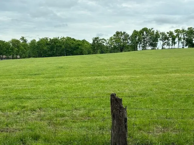 3669 Ironworks Road #B-2, Georgetown, KY 40324 - Image #2