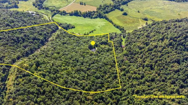 3902 Red Lick Road, Irvine, KY 40336 - Image #2